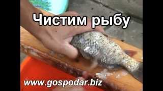 avtoklav.-konservirovanie-ryby-v-avtoklave-attachment