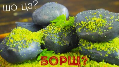 borshh-molekulyarkachto-eto-attachment