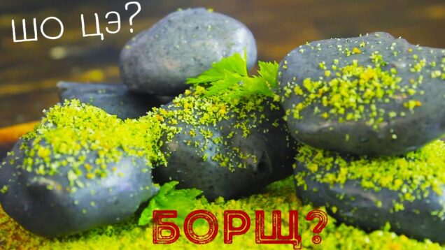 borshh-molekulyarkachto-eto-attachment