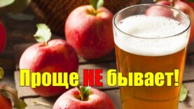 domashnee-vino-iz-yablok-sidr-svoimi-rukami-attachment