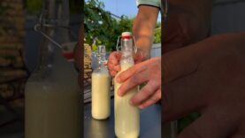 luchshij-domashnij-liker-iz-banana-attachment