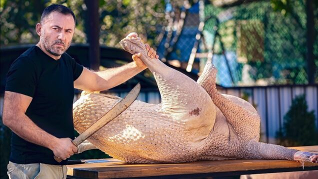 shashlyk-iz-strausa.-myaso-strausa-na-mangale.-eng-sub-attachment