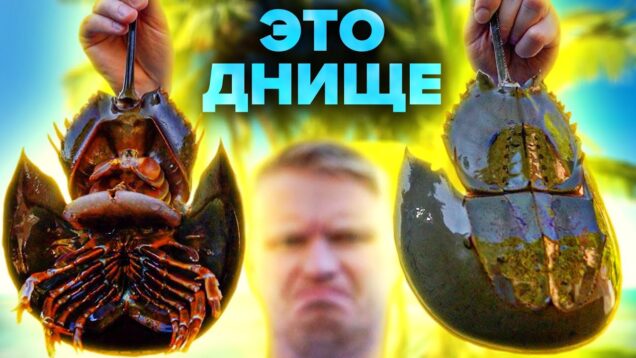 vash-moreprodukt-g-vno-attachment