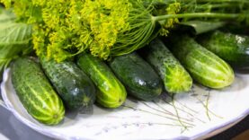 vot-tak-nado-delat-malosolnye-ogurcy.-samyj-pravilnyj-sposob-attachment