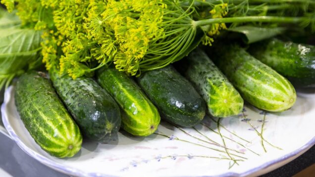 vot-tak-nado-delat-malosolnye-ogurcy.-samyj-pravilnyj-sposob-attachment