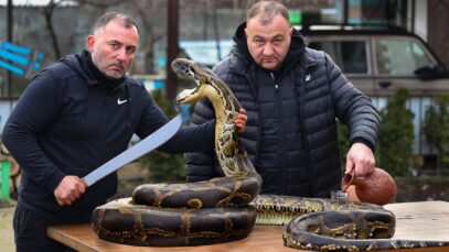 zmeya-na-mangale.-shashlyk-iz-zmei.-eng-sub-attachment